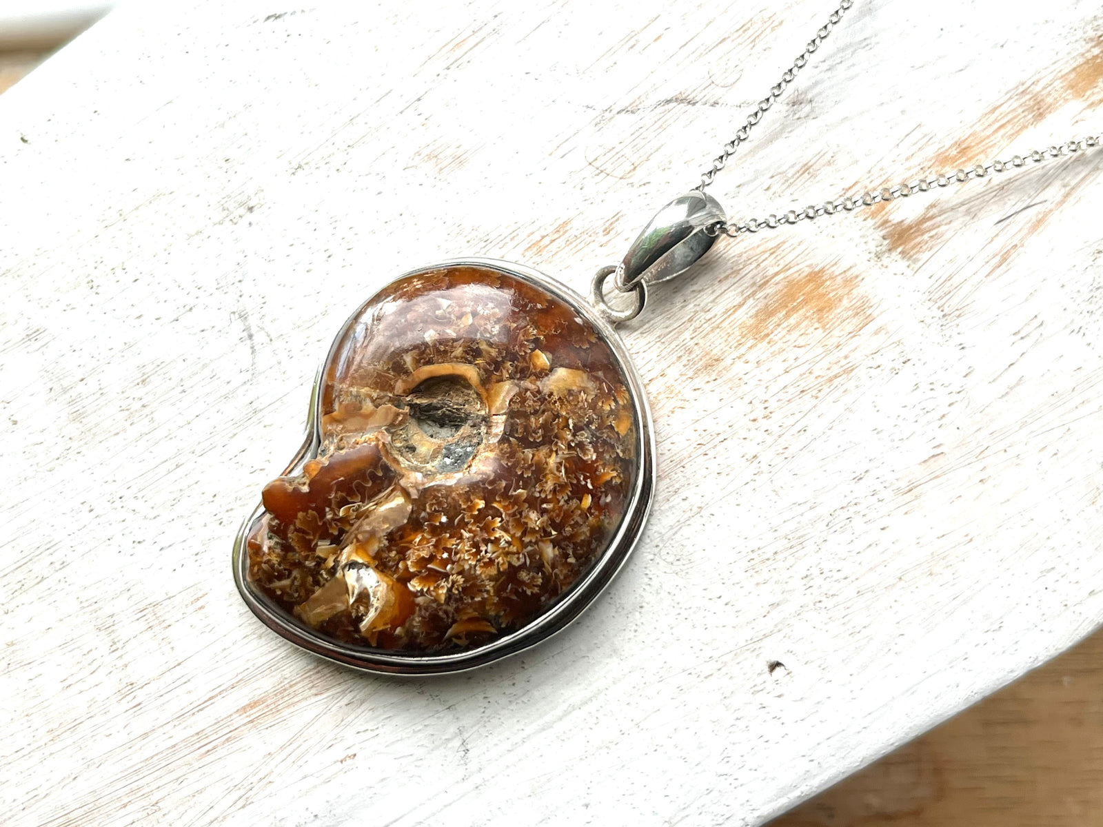 Large Ammonite Silver Pendant Necklace