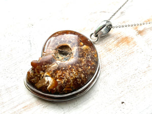 Large Ammonite Silver Pendant Necklace